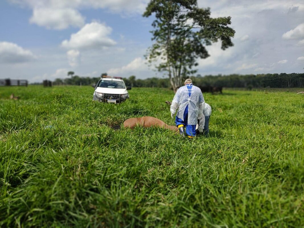 idaf-realiza-acoes-de-controle-de-focos-de-raiva-dos-herbivoros-no-acre