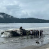 aviao-de-pequeno-porte-ultrapassa-pista,-explode-na-praia-e-mobiliza-ubatuba-(sp)