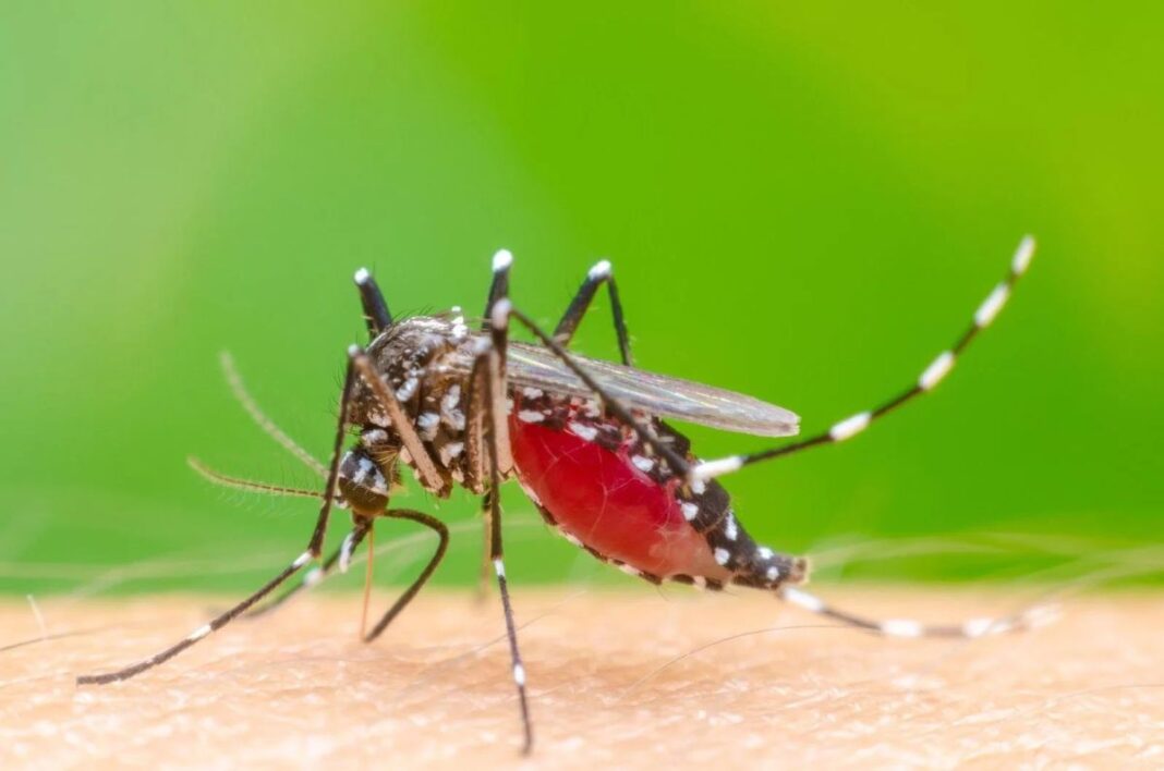 acre-registra-886-casos-provaveis-de-dengue-em-2025;-situacao-e-de-alerta-em-12-cidades