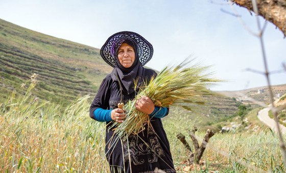 fao-divulga-transformacoes-do-sistema-alimentar-rumo-a-metas-de-2030