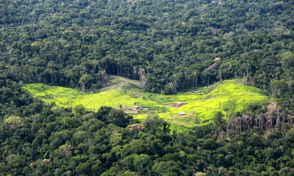 mpac-apura-desmatamento-em-unidade-de-conservacao-no-interior-do-acre