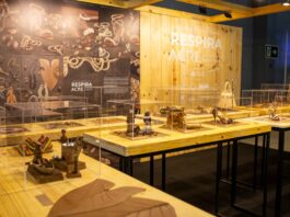riqueza-natural-do-acre-destaca-se-durante-maior-evento-de-moda-da-america-latina