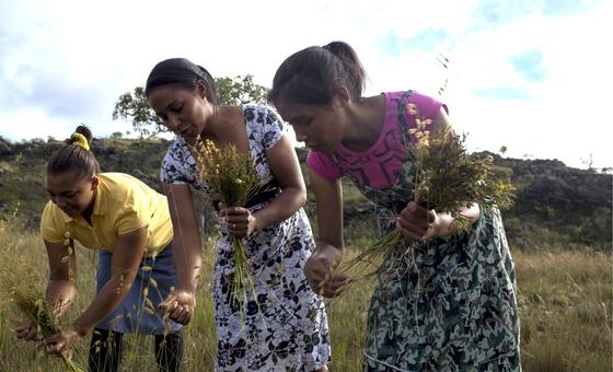 a-luta-quilombola-pela-preservacao-de-praticas-agricolas-tradicionais-no-brasil