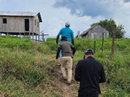 policias-militar-e-civil-atuam-em-operacao-contra-furtos-de-gado-no-rio-muru,-em-tarauaca
