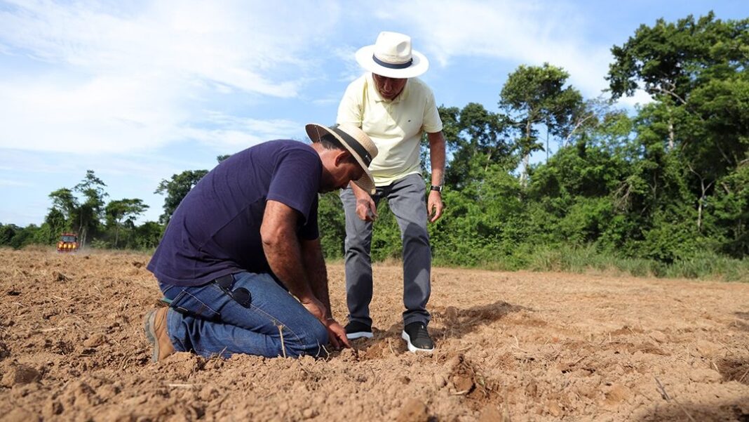 prefeitura-de-rio-branco-e-embrapa-iniciam-cultivo-de-arroz-da-variedade-primavera-para-fortalecer-a-agricultura-familiar