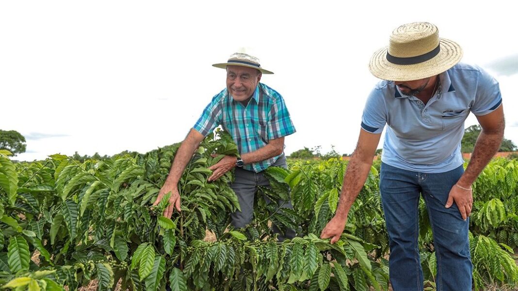 prefeito-de-rio-branco-visita-lavoura-de-cafe-e-destaca-apoio-aos-produtores-rurais