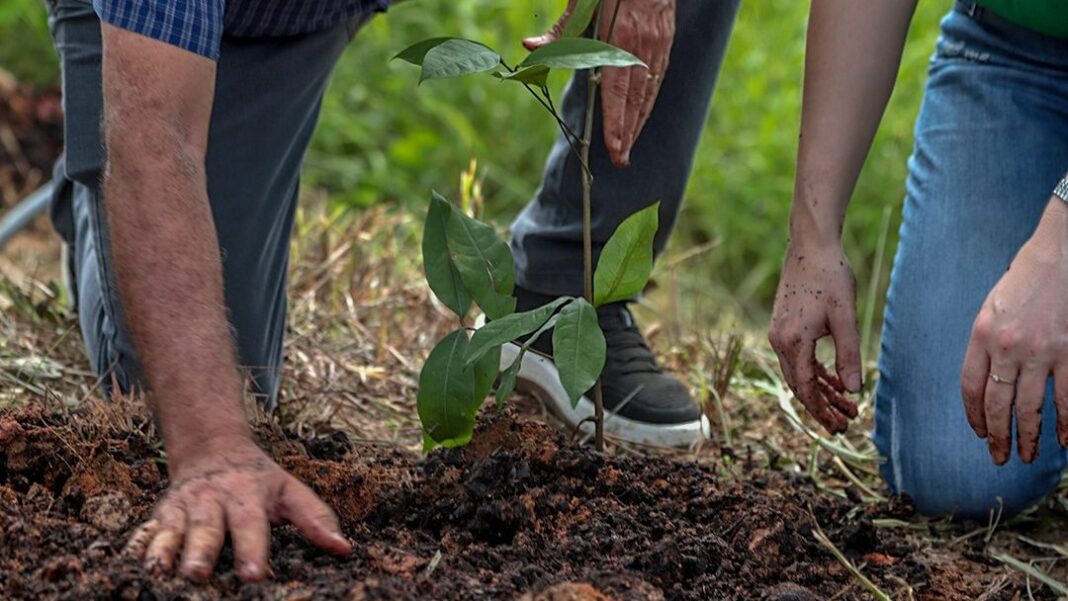 prefeitura-de-rio-branco-realiza-plantio-de-mais-de-400-mudas-em-area-de-preservacao-permanente