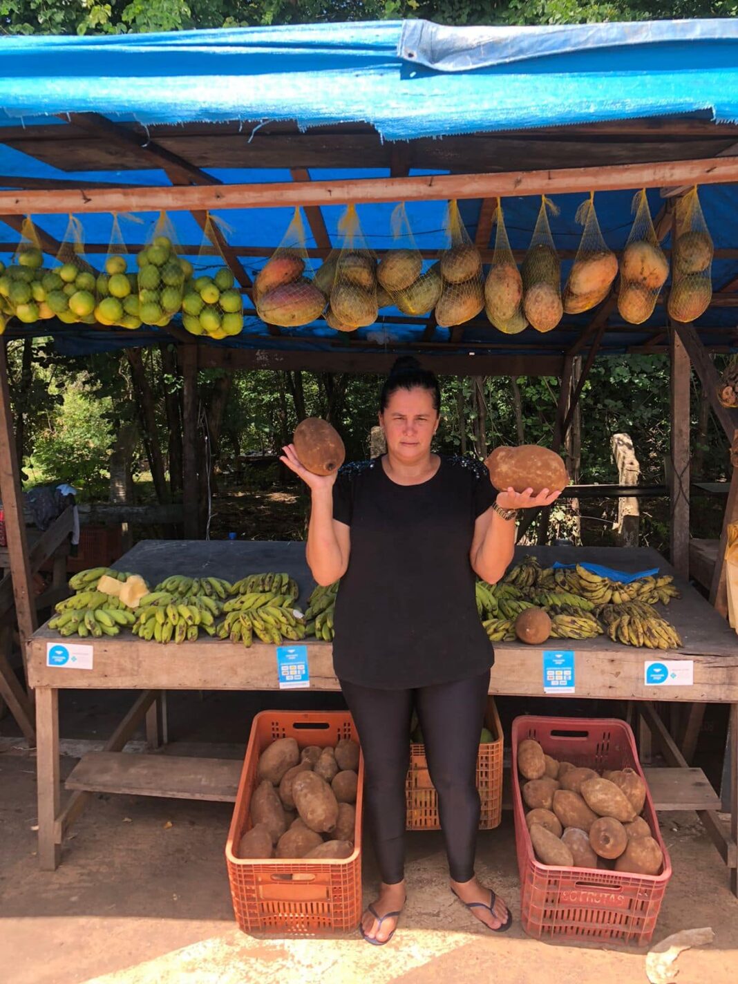 vigilancia-ativa-contra-a-moniliase-do-cacau-e-cupuacu-garante-sustentabilidade-no-cultivo-da-fruta-nativa-do-acre