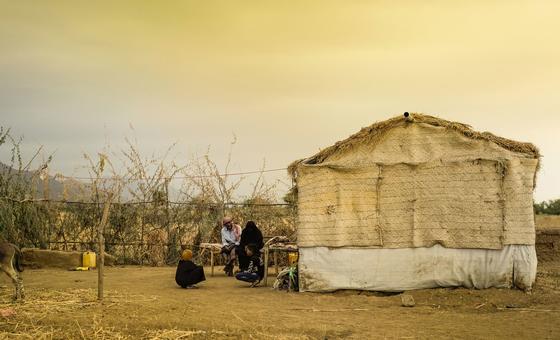 agencia-da-onu-condena-morte-de-funcionario-detido-ilegalmente-no-iemen