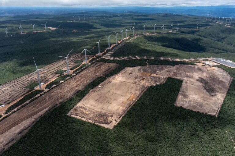 caatinga-desmatada-para-instalacao-de-paineis-solares-mobiliza-comunidade-na-bahia