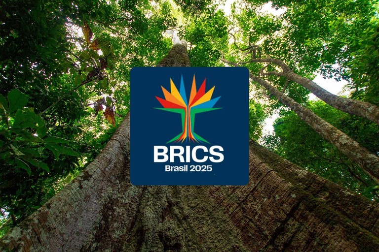 cupula-do-brics-sera-no-rio-de-janeiro,-em-6-e-7-de-julho