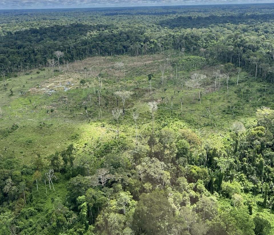 em-apenas-72-horas,-governo-identifica-50%-das-areas-com-alertas-de-desmatamento-pela-operacao-contencao-verde