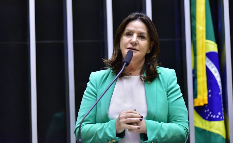 Deputada Carmen Zanotto fala ao microfone