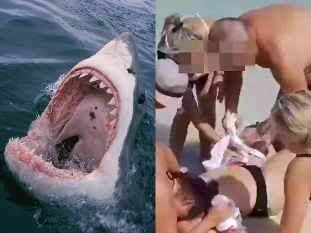 Reprodução/Montagem