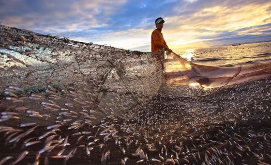 onu-revela-que-crescimento-da-economia-oceanica-esta-sob-risco