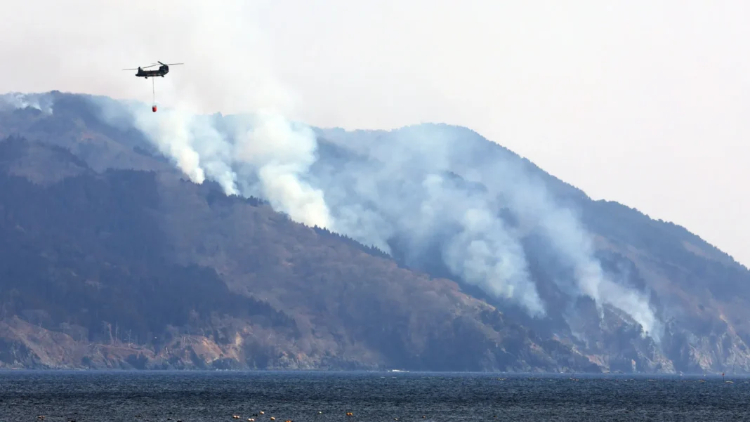 nordeste-do-japao-e-devastado-pelo-pior-incendio-florestal-desde-1992