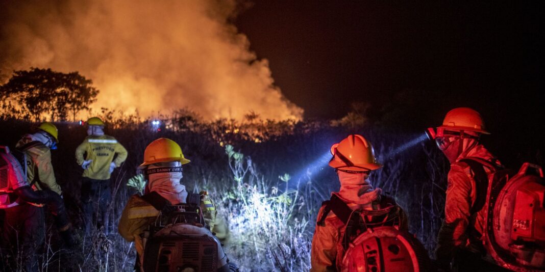 justica-prolonga-uso-da-forca-nacional-em-incendios-na-amazonia-legal