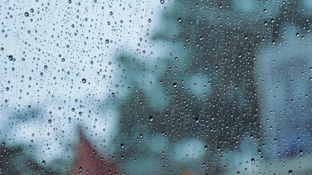 sao-paulo-tem-previsao-de-chuva-todos-os-dias-ate-o-fim-de-semana