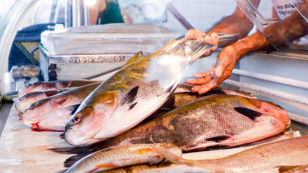 prefeitura-de-rio-branco-inicia-preparativos-para-a-tradicional-feira-do-peixe-em-abril