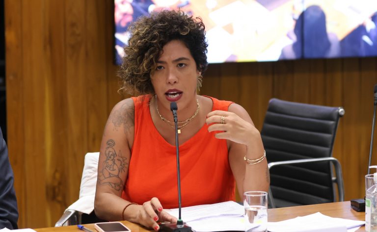 Reunião de Líderes. Dep. Talíria Petrone (PSOL-RJ)