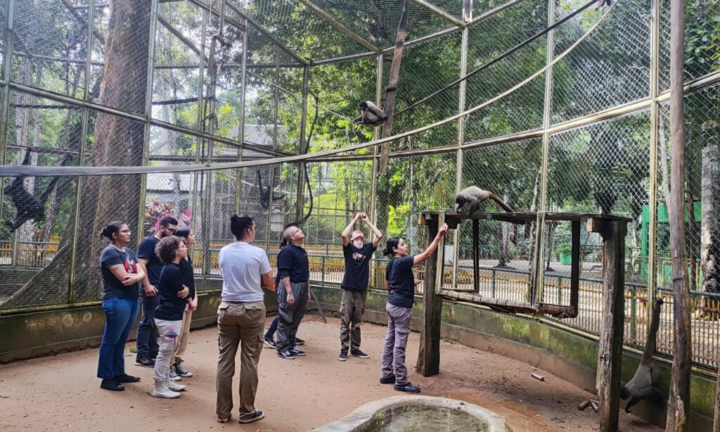 parque-ambiental-chico-mendes-recebe-estudantes-da-ufac-para-minicurso-sobre-primatas