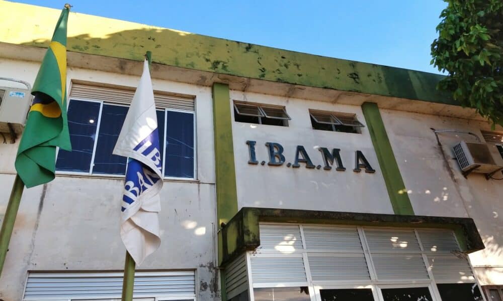 concurso-ibama:-provas-aplicadas-ontem-mobilizam-mais-de-123-mil-candidatos