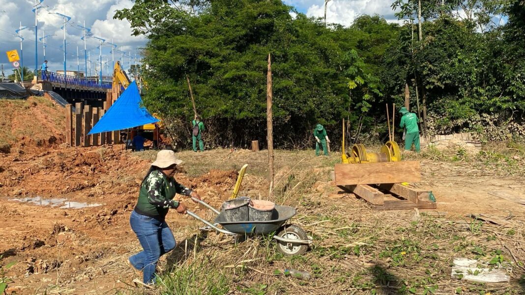 prefeitura-de-rio-branco-realiza-plantio-de-bambu-na-cabeceira-da-ponte-do-judia