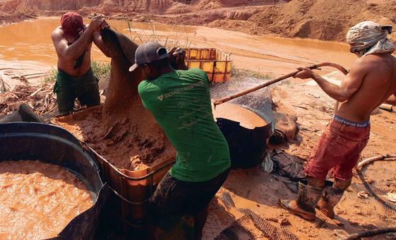 brasil-sofre-com-conexao-entre-crimes-florestais,-trafico-e-mineracao,-diz-agencia brasil-sofre-com-conexao-entre-crimes-florestais,-trafico-e-mineracao,-diz-agencia