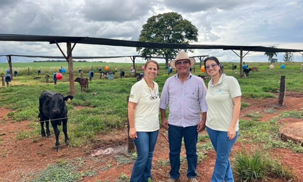 comitiva-do-acre-se-encanta-com-fazenda-de-goias-pela-producao-de-leite-e-queijos-artesanais