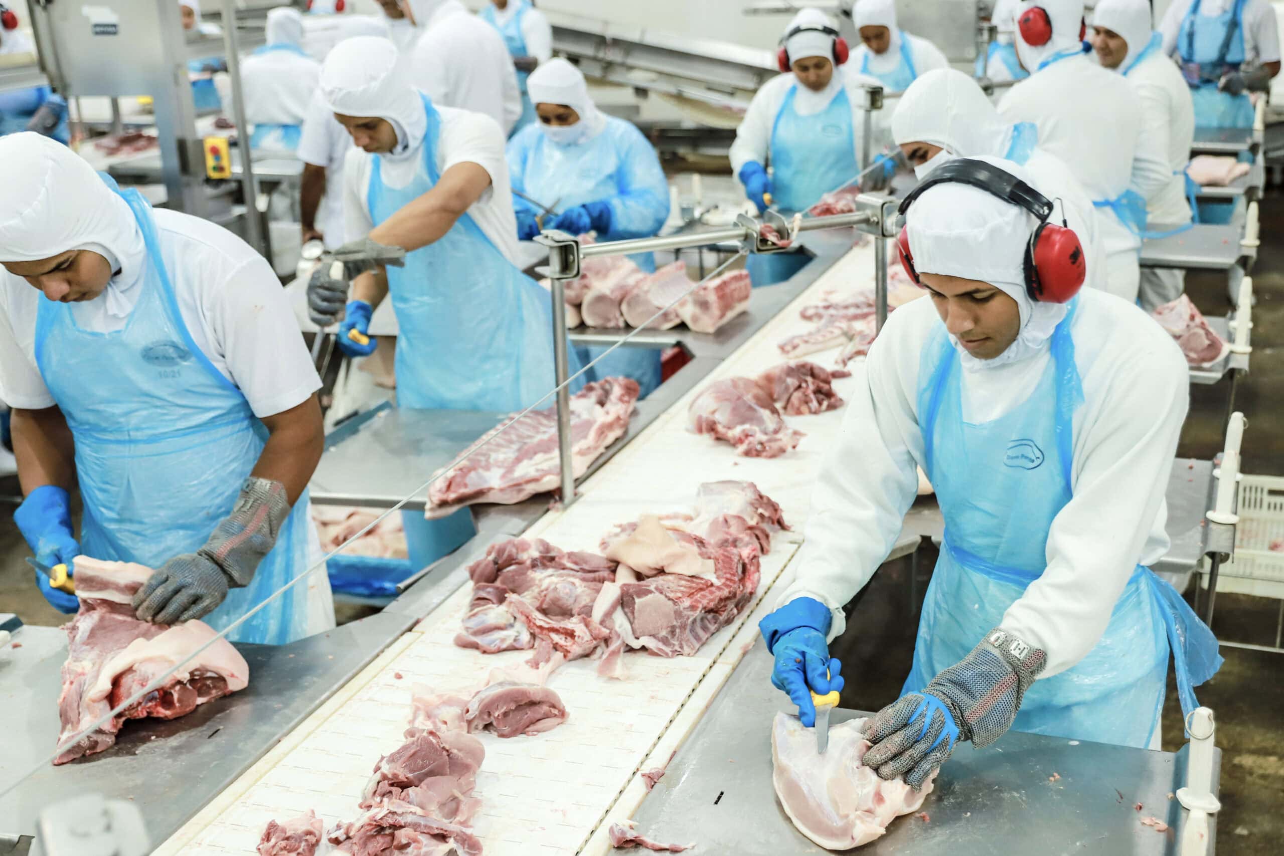 acre-comemora-anuncio-de-novos-investimentos-na-cadeia-de-proteina-animal
