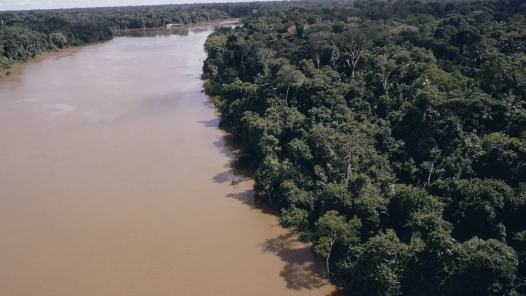 rio-madeira-esta-perto-da-cota-de-inundacao-em-rondonia
