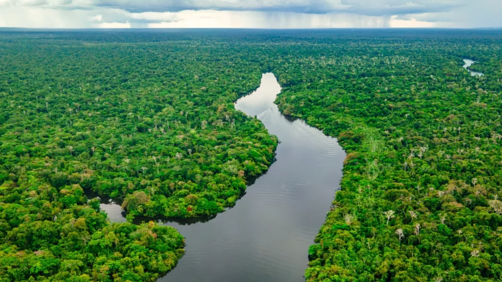 floresta-amazonica:-curiosidades-e-segredos-que-pouca-gente-sabe