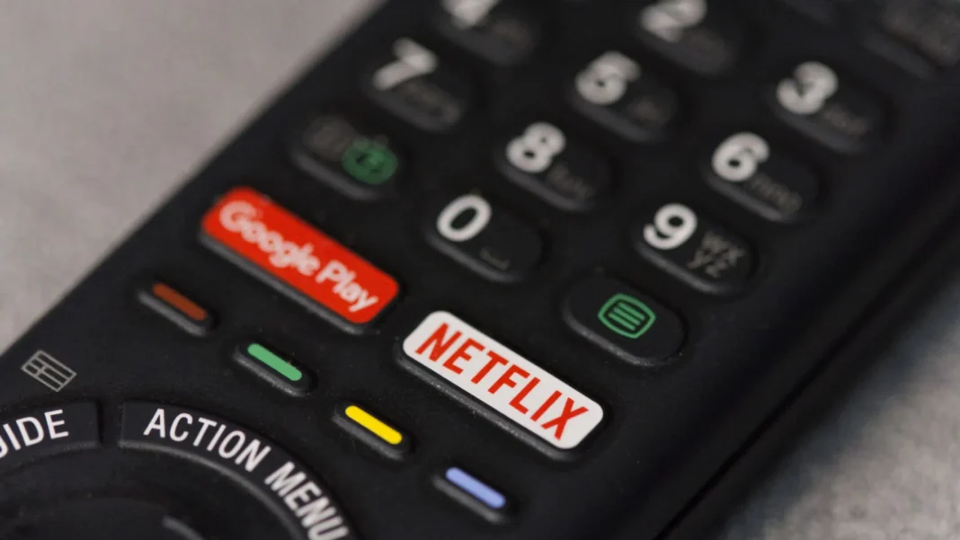 netflix-quer-bancar-cinemas-em-instituicoes-de-ensino-e-acoes-pro-turismo-no-brasil