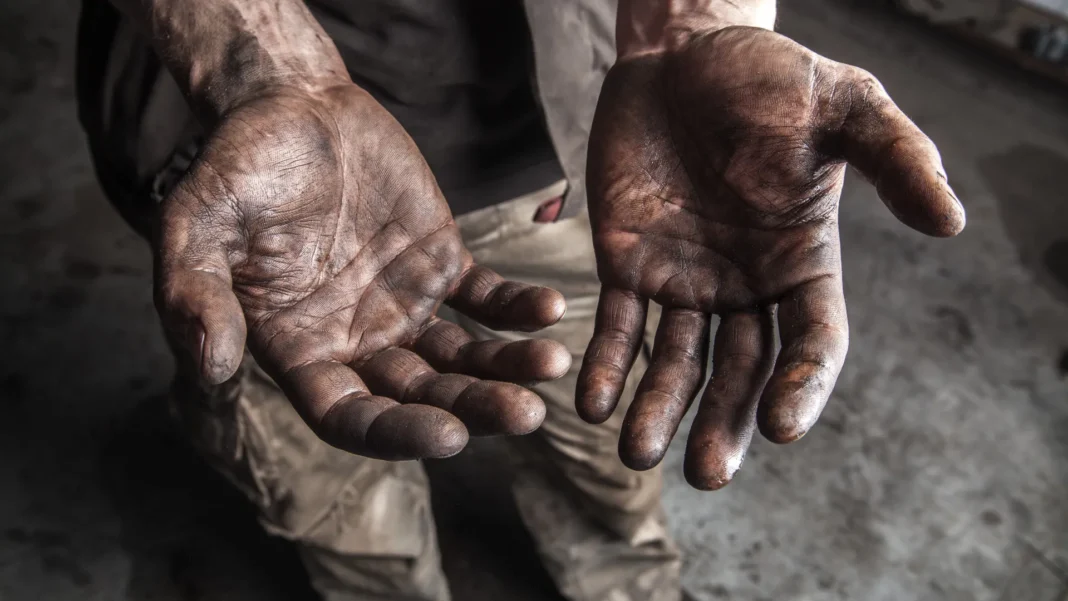 mpt-resgata-35-indigenas-de-trabalho-escravo-em-sp;-vitimas-so-comiam-arroz
