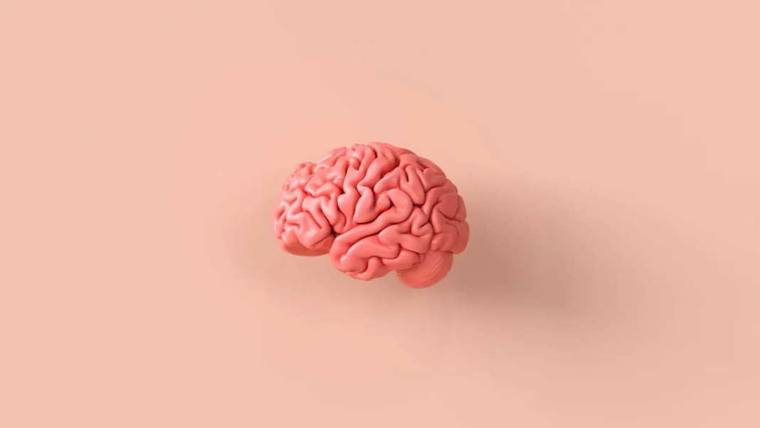 alimentos-que-fortalecem-o-cerebro-e-previnem-o-declinio-cognitivo