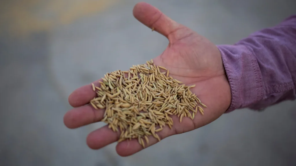 Você está cuidando bem dos seus rins? – Cidade AC News voce-esta-cuidando-bem-dos-seus-rins?