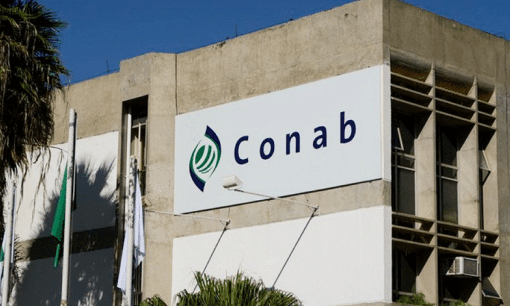concurso-conab-retifica-edital-e-oferece-403-vagas-para-analista-e-assistente-em-todo-o-brasil