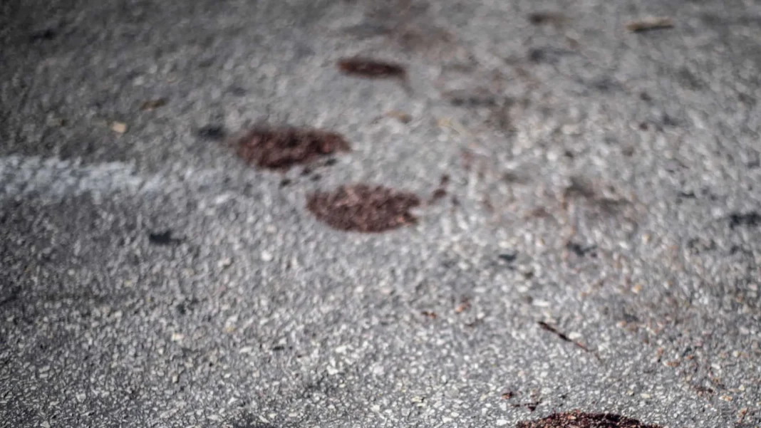 menina-de-4-anos-morre-apos-ser-atingida-na-cabeca-por-bala-perdida-no-recife
