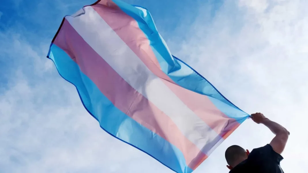 mpf-instaura-procedimento-para-investigar-resolucao-do-cfm-sobre-jovens-trans