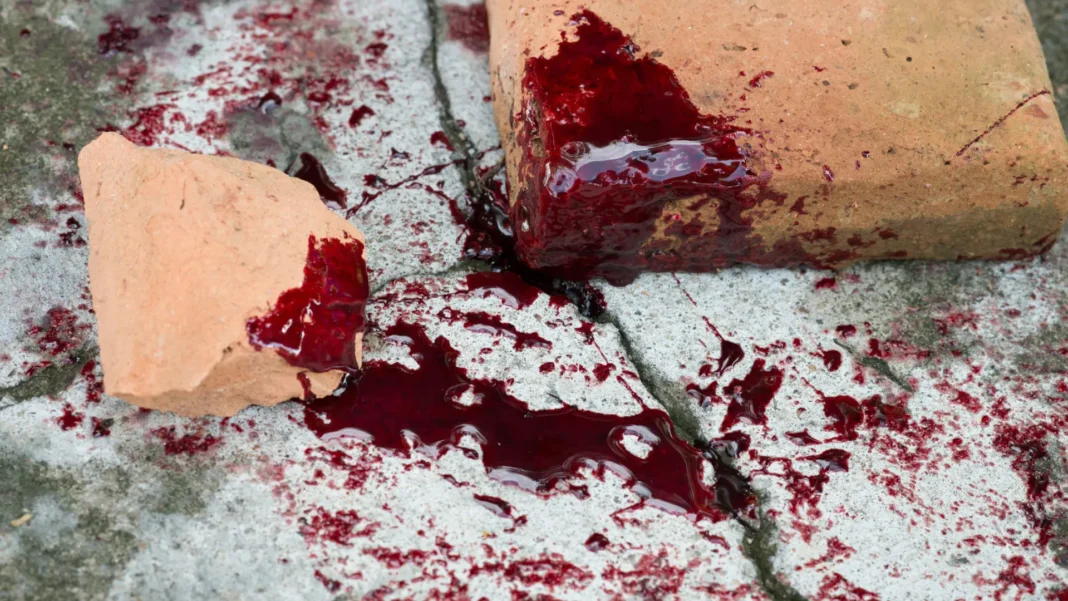 pm-youtuber-e-morto-a-tiros-por-vizinho-na-zona-norte-de-sao-paulo