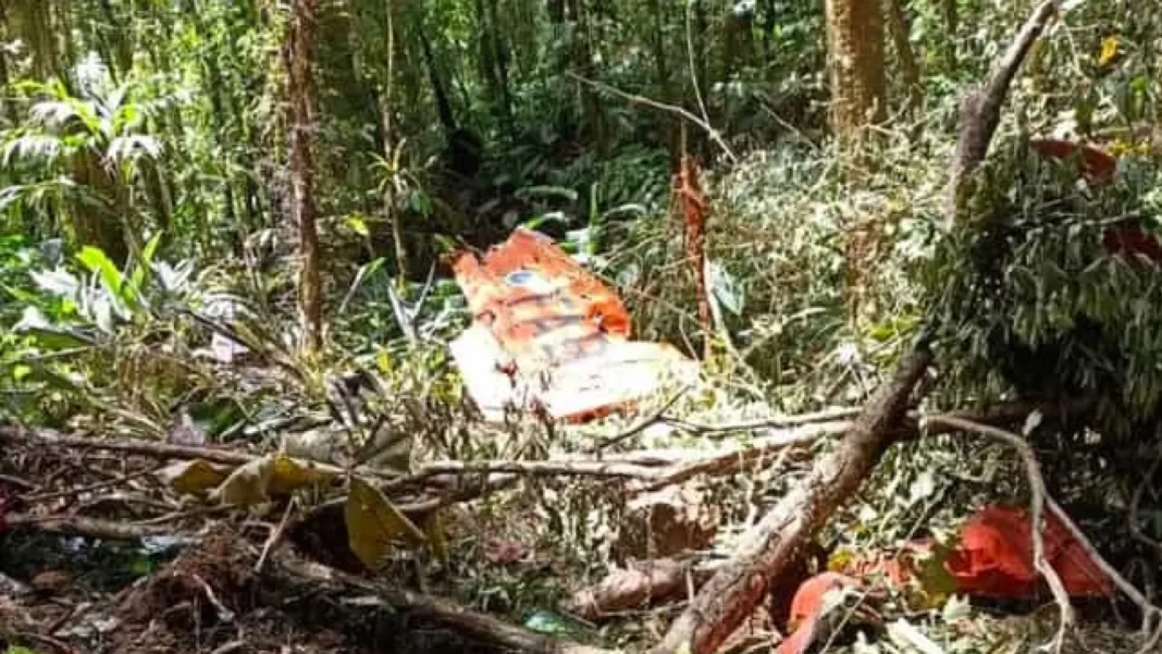aviao-de-pequeno-porte-cai-em-plantacao-no-para-e-deixa-dois-feridos