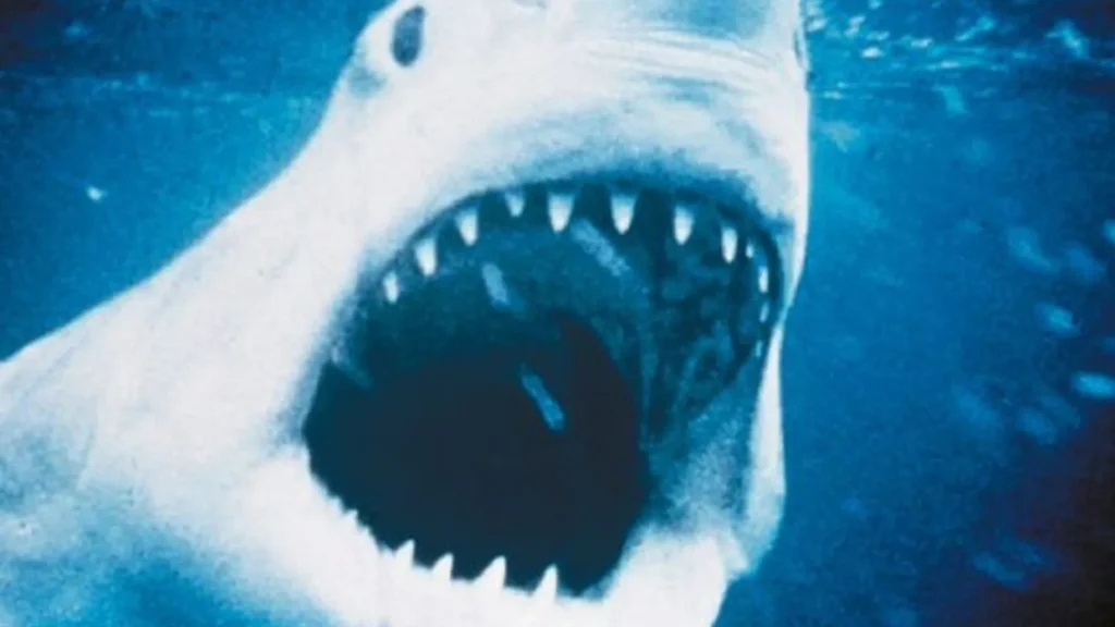 filmes-que-superam-(e-muito)-os-livros-em-que-se-basearam