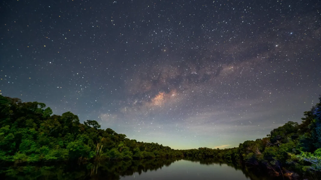 lei-aprovada-em-mato-grosso-quer-converter-amazonia-em-cerrado