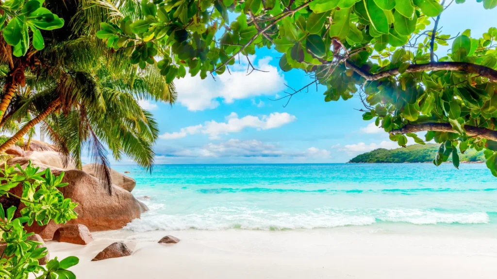 as-melhores-praias-de-2025:-duas-sao-do-brasil