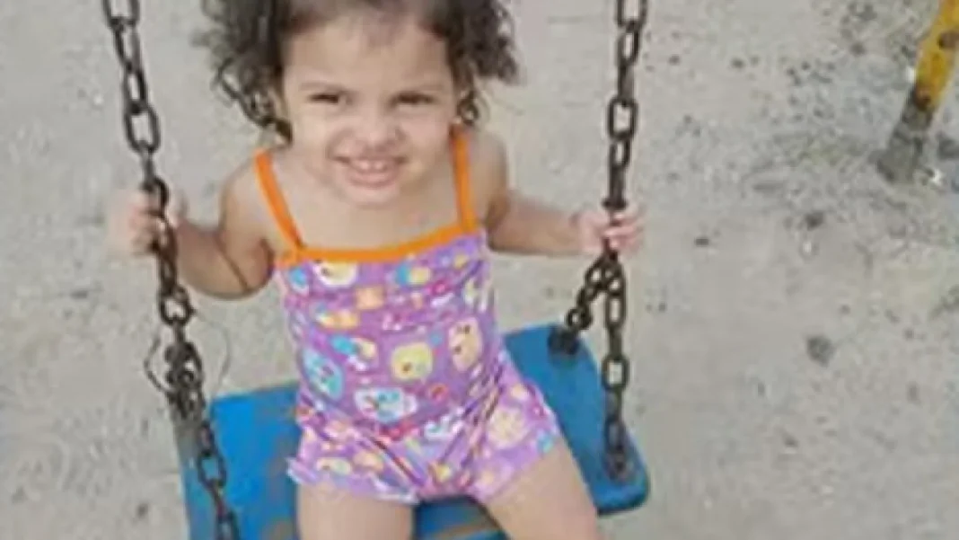 menina-de-2-anos-baleada-no-rio-esta-em-estado-grave