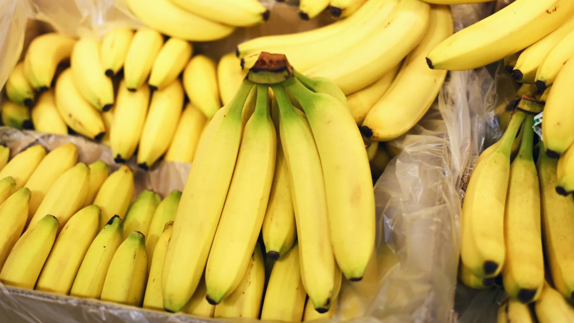 os-objetos-mais-estranhos-deixados-em-tumulos-de-famosos;-veja