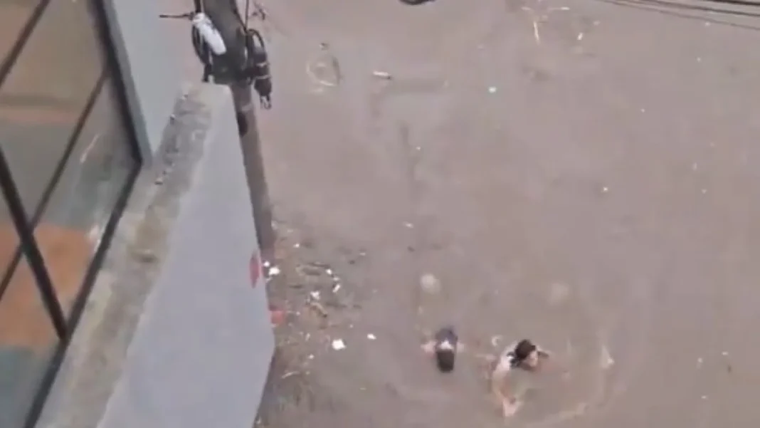 passageiros-nadam-para-sair-de-onibus-alagado-apos-temporal;-veja-o-video