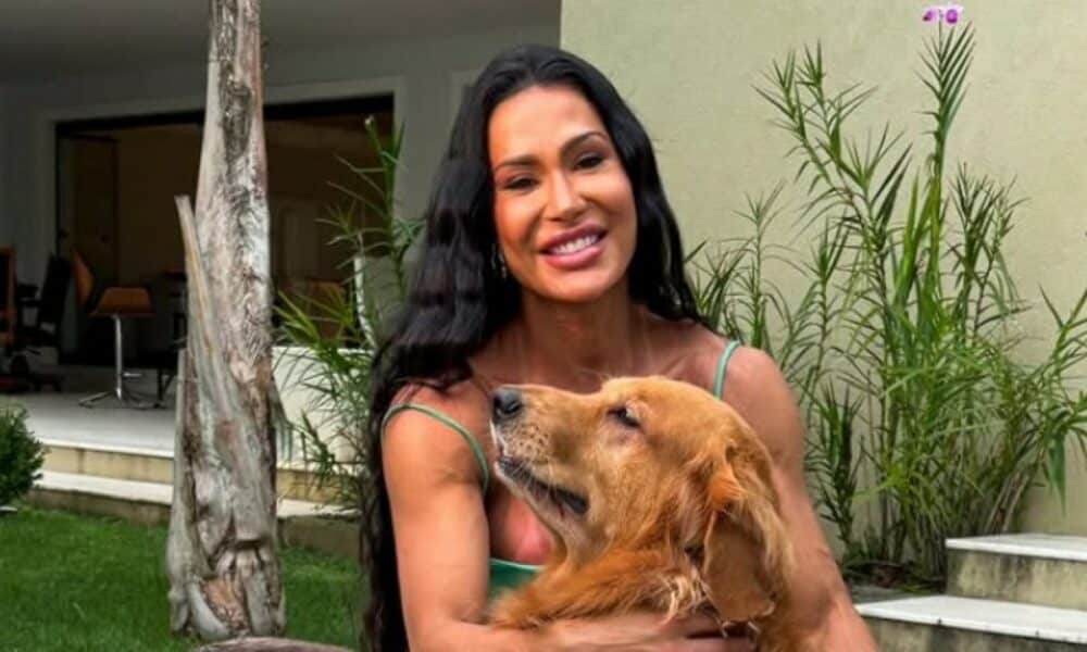 gracyanne-e-aline-brilham-nas-redes-do-bbb-25-com-milhoes-de-fas;-veja-quem-mais-cresce