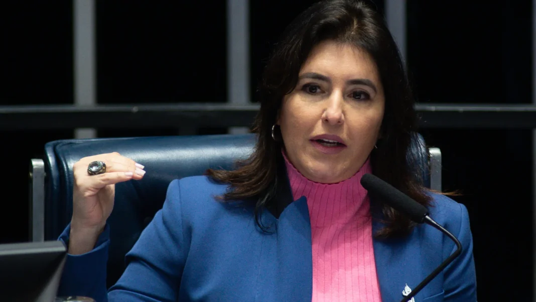 orcamento-de-2025-sera-sancionado-no-dia-11,-diz-simone-tebet