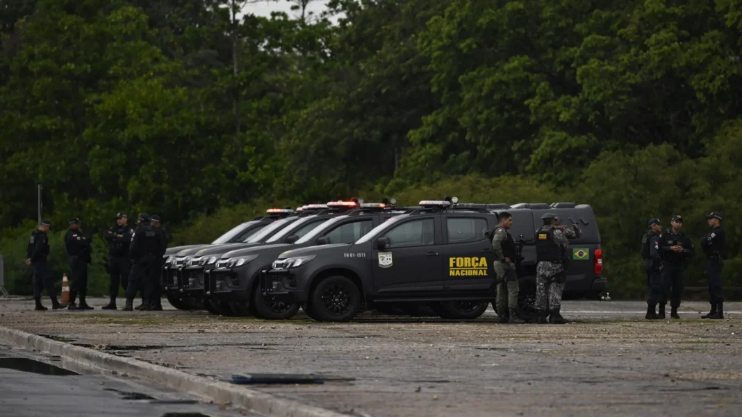 em-1-ano,-forca-nacional-no-rj-apreende-10-mil-macos-de-cigarros-e-1-arma-de-fogo